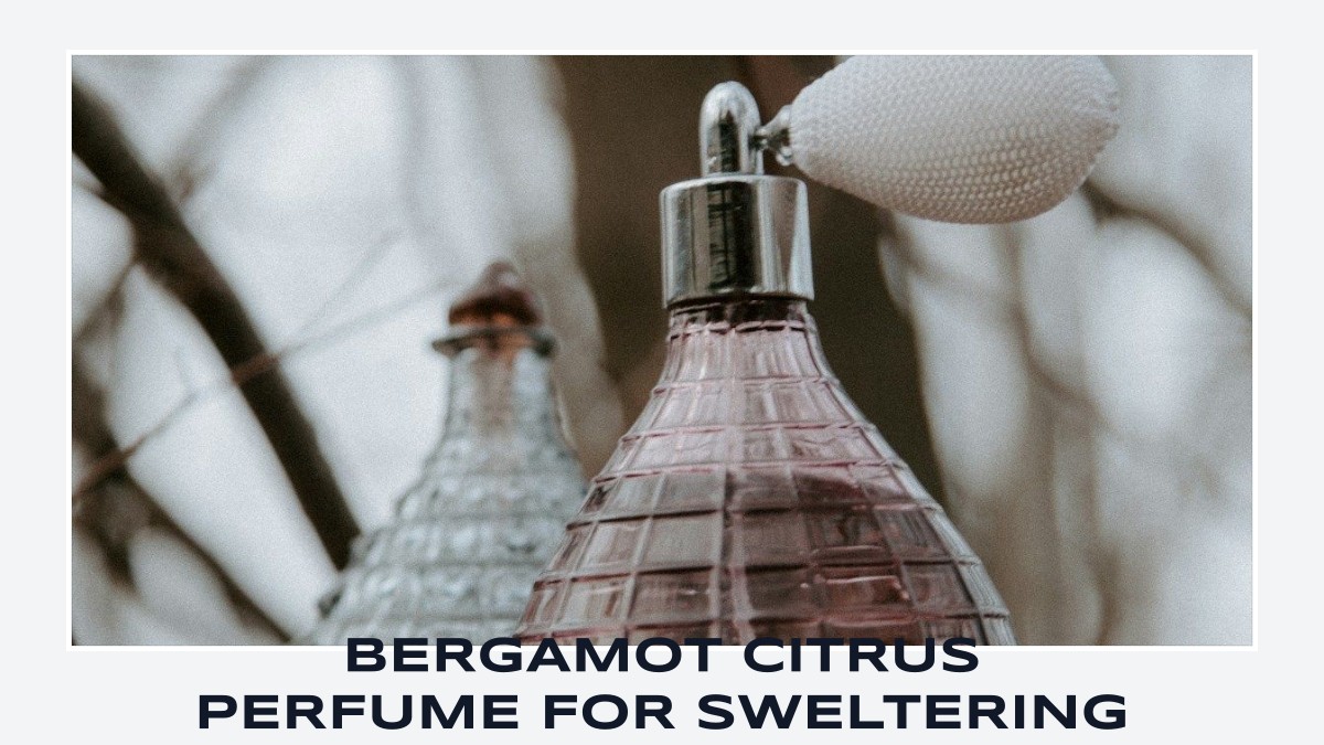 bergamot citrus perfume for sweltering summer
