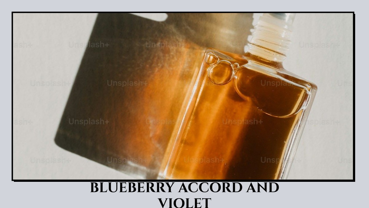 blueberry accord and violet