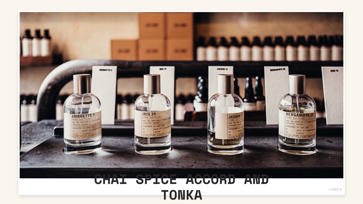chai spice accord and tonka
