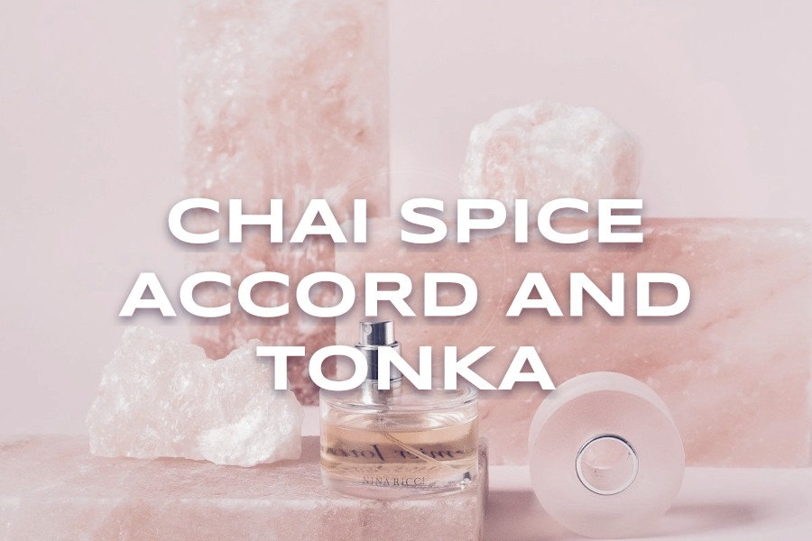 chai spice accord and tonka