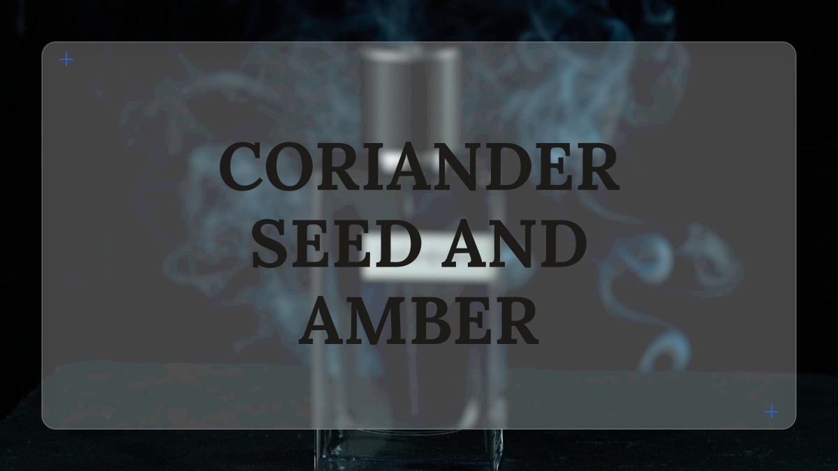coriander seed and amber