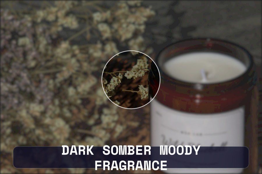 dark somber moody fragrance