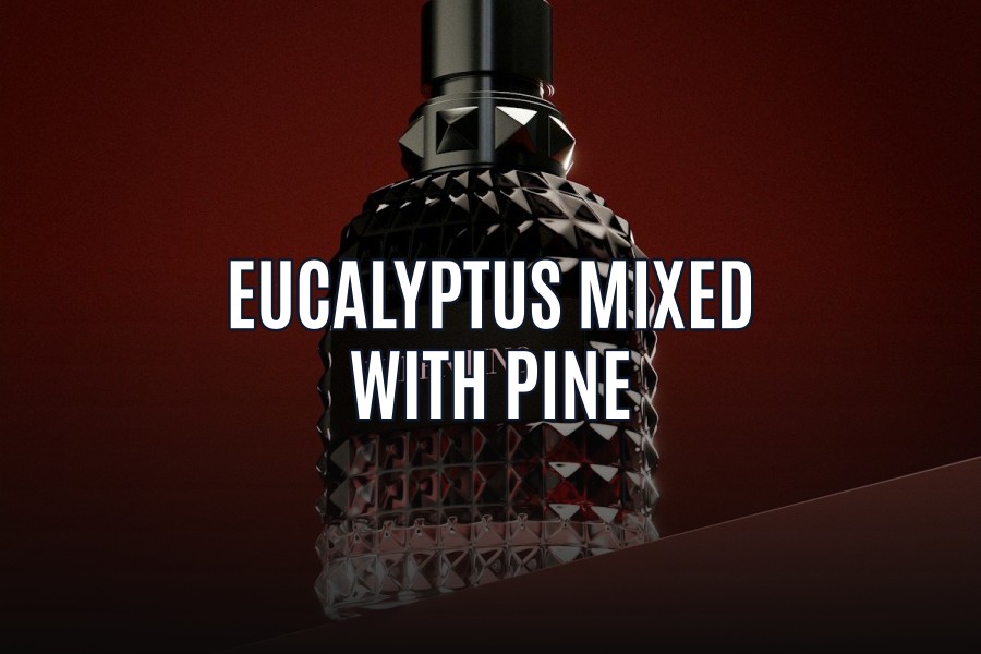 eucalyptus mixed with pine