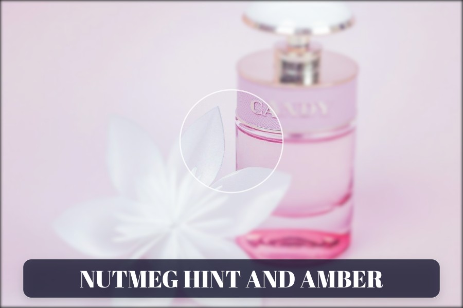 nutmeg hint and amber