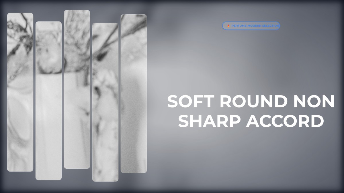 soft round non sharp accord