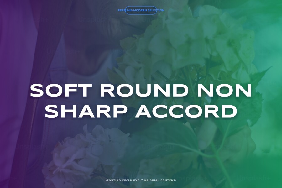 soft round non sharp accord