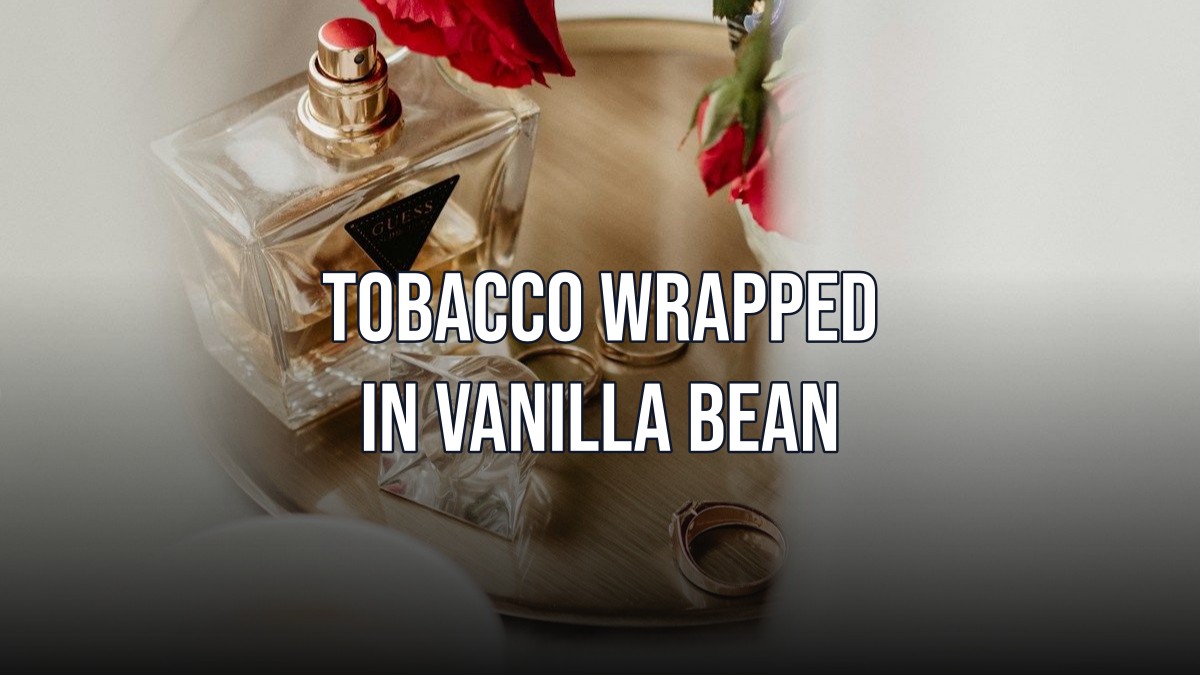 tobacco wrapped in vanilla bean