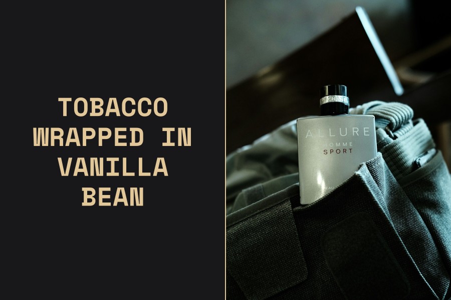 tobacco wrapped in vanilla bean