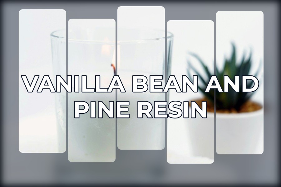 vanilla bean and pine resin
